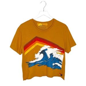 Aviator Nation Mountain Wave Distressed Boxy Tee Rare